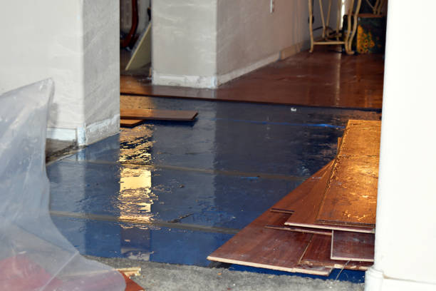 Professional Flood Damage Repair technician working in Pinckney, MI